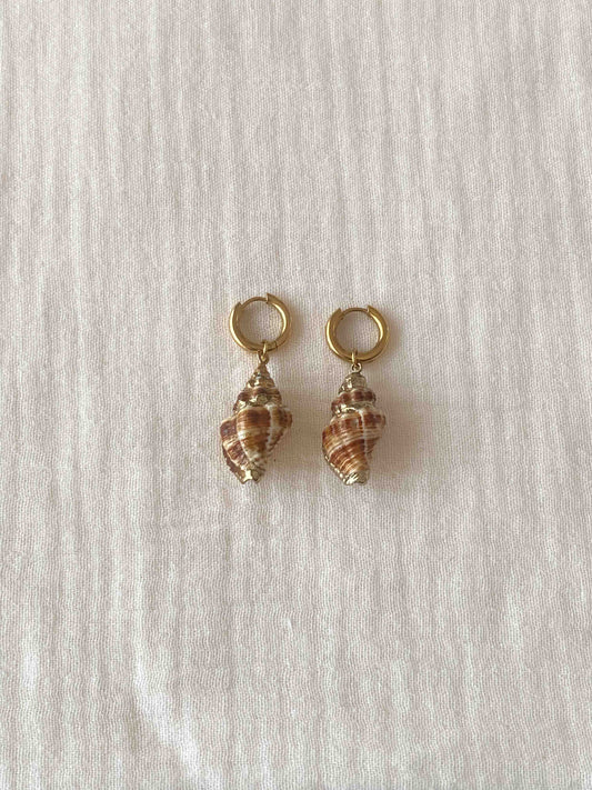 SEA - Pendientes caracola mini